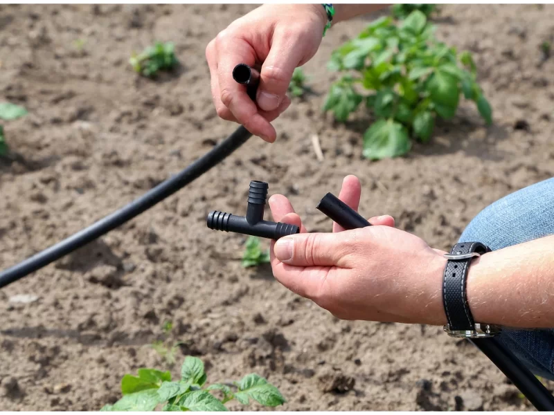 Drip Irrigation Repair Services in Tucson